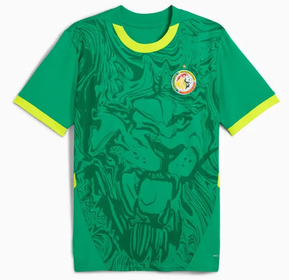 Maillots du Senegal